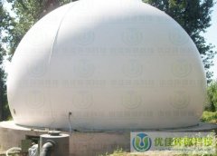 淺析雙膜氣柜結構